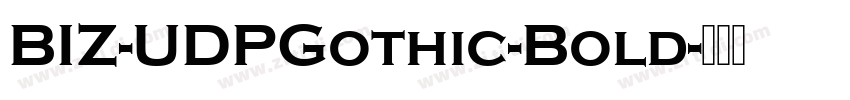 BIZ-UDPGothic-Bold字体转换