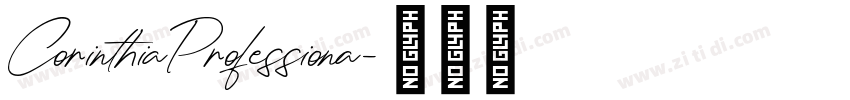 CorinthiaProfessiona字体转换