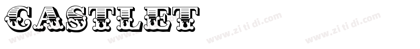 CastleT字体转换