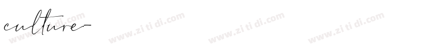 culture字体转换