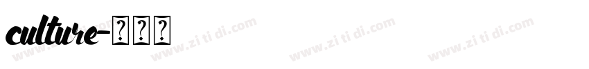 culture字体转换