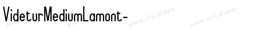 VideturMediumLamont字体转换 VideturMediumLamont字体转换