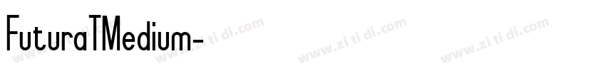 FuturaTMedium字体转换 FuturaTMedium字体转换