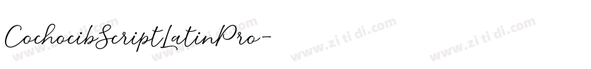 CochocibScriptLatinPro字体转换
