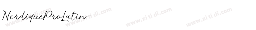 NordiqueProLatin字体转换