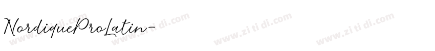 NordiqueProLatin字体转换