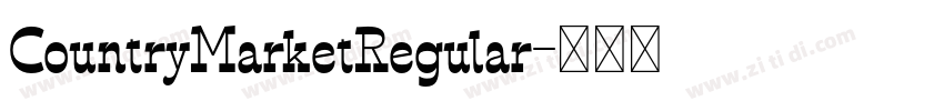 CountryMarketRegular字体转换
