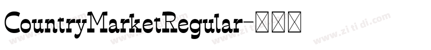 CountryMarketRegular字体转换