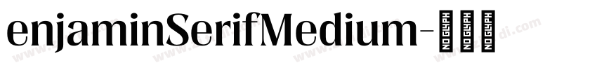 enjaminSerifMedium字体转换