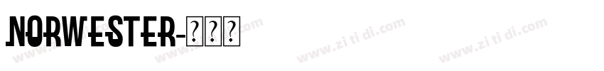Norwester字体转换