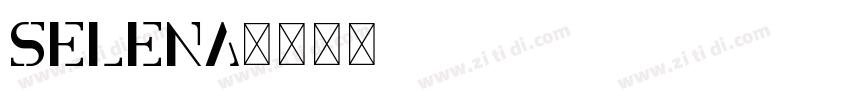Selena字体转换