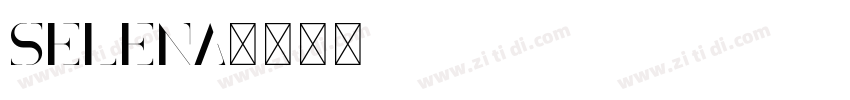 Selena字体转换