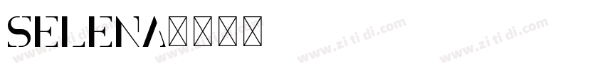 Selena字体转换