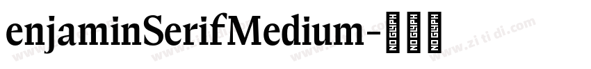 enjaminSerifMedium字体转换