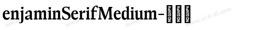 enjaminSerifMedium字体转换