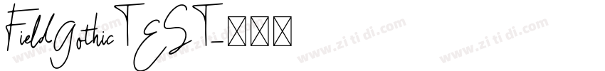 FieldGothicTEST字体转换
