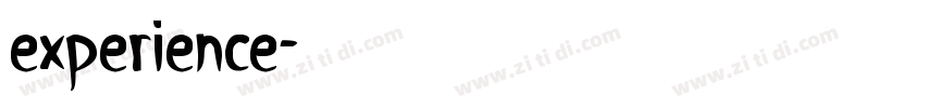 experience字体转换