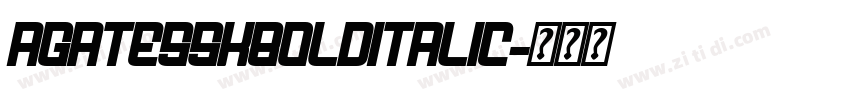 AgateSSKBoldItalic字体转换