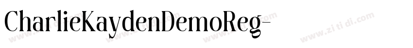 CharlieKaydenDemoReg字体转换