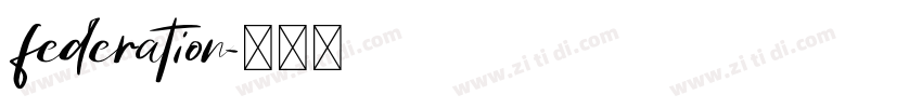 federation字体转换