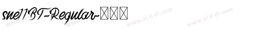 sne11BT-Regular字体转换