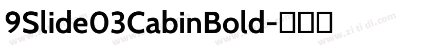 9Slide03CabinBold字体转换
