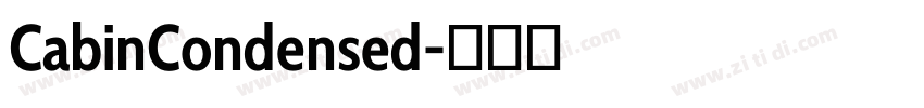 CabinCondensed字体转换