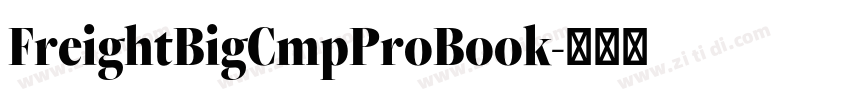 FreightBigCmpProBook字体转换