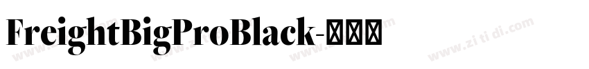 FreightBigProBlack字体转换