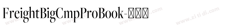 FreightBigCmpProBook字体转换