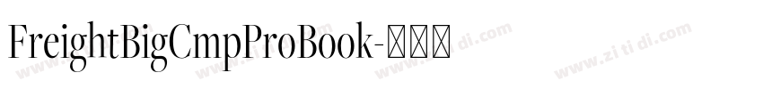 FreightBigCmpProBook字体转换