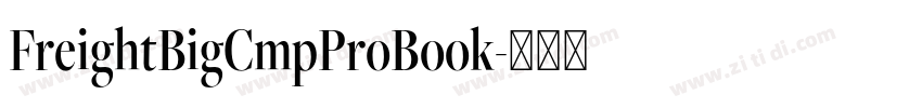 FreightBigCmpProBook字体转换