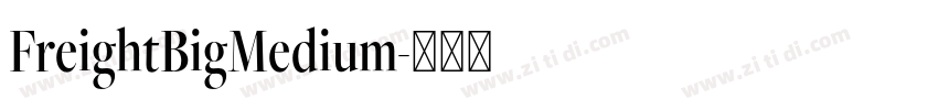 FreightBigMedium字体转换
