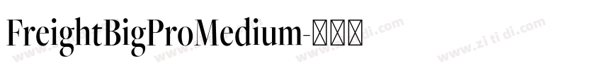 FreightBigProMedium字体转换