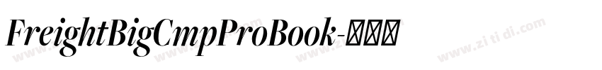 FreightBigCmpProBook字体转换