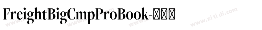 FreightBigCmpProBook字体转换