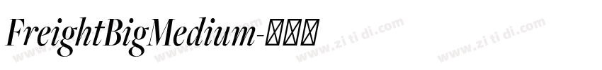FreightBigMedium字体转换