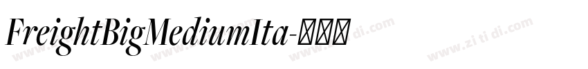 FreightBigMediumIta字体转换