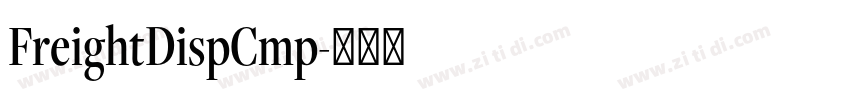 FreightDispCmp字体转换 FreightDispCmp字体转换