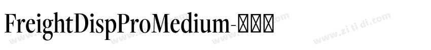 FreightDispProMedium字体转换
