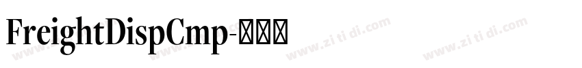 FreightDispCmp字体转换 FreightDispCmp字体转换