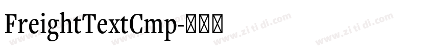 FreightTextCmp字体转换
