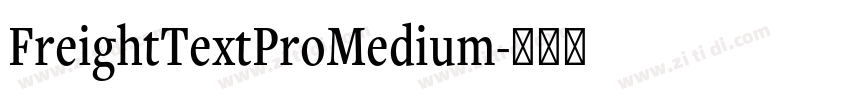 FreightTextProMedium字体转换