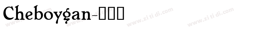 Cheboygan字体转换