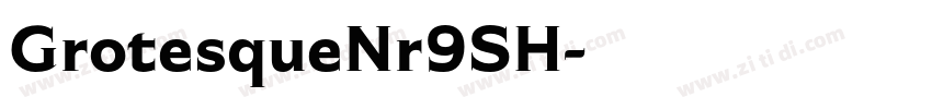 GrotesqueNr9SH字体转换