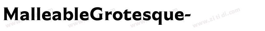 MalleableGrotesque字体转换