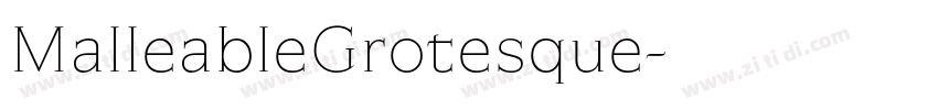 MalleableGrotesque字体转换