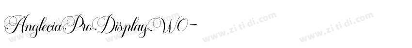 AngleciaProDisplayW0字体转换