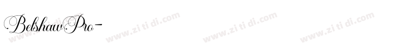 BelshawPro字体转换