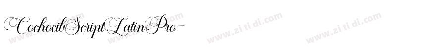 CochocibScriptLatinPro字体转换